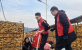 弘扬孝亲敬老美德 共建老年友好社会——山东港华开展重阳节志愿服务活动